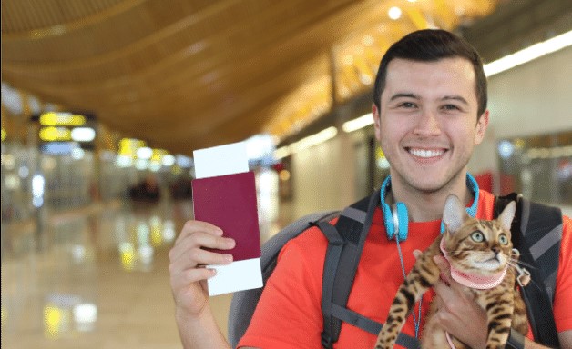 Moving to portugal with pet 2