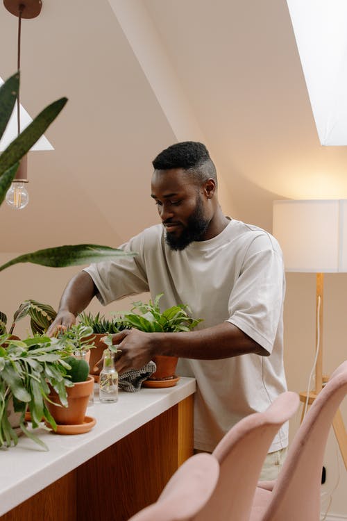 Man Holding the Plants in a Table Man Holding the Plants in a Table