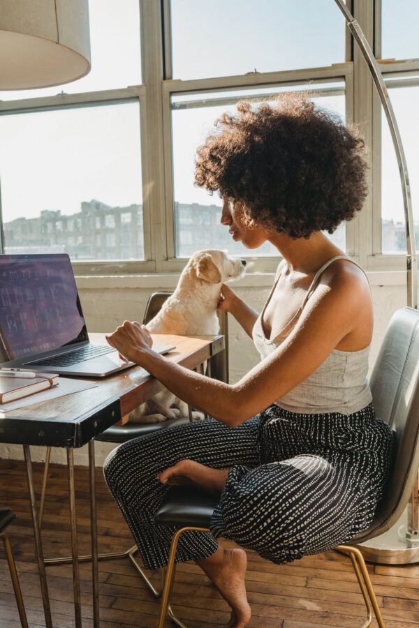 Black female freelancer using computer with dog Black female freelancer using computer with dog