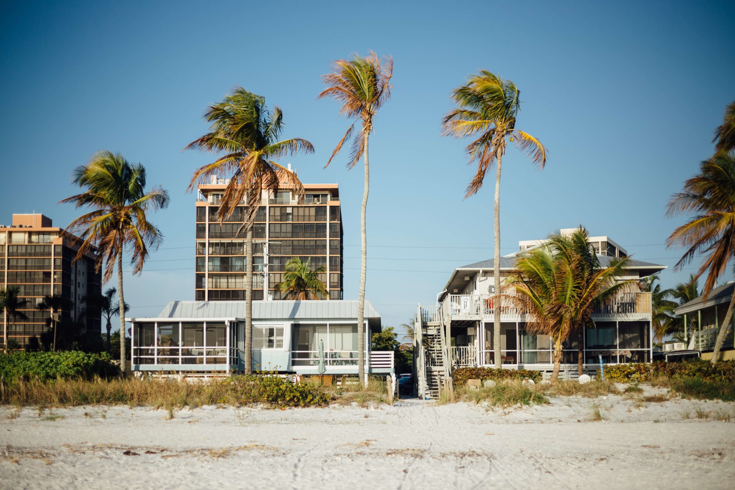 Palm Trees and Beach Houses Under Blue Sky during Daytime 1