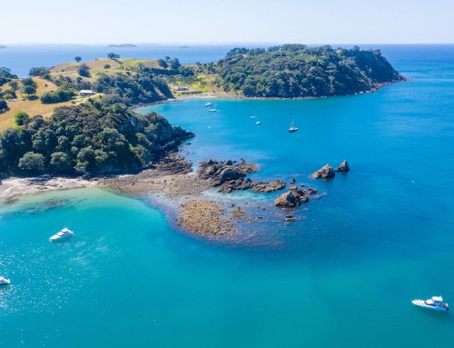 The Pros and Cons of Moving to New Zealand