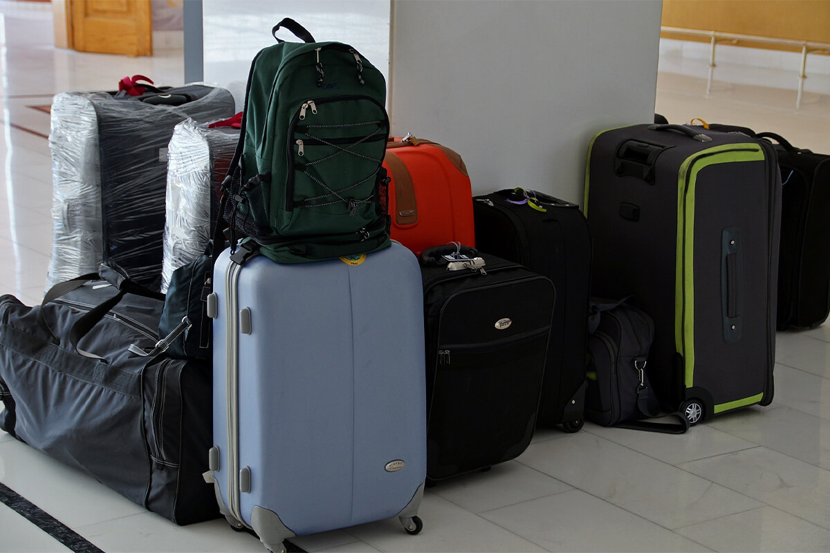 Bag and Suitcase to carry