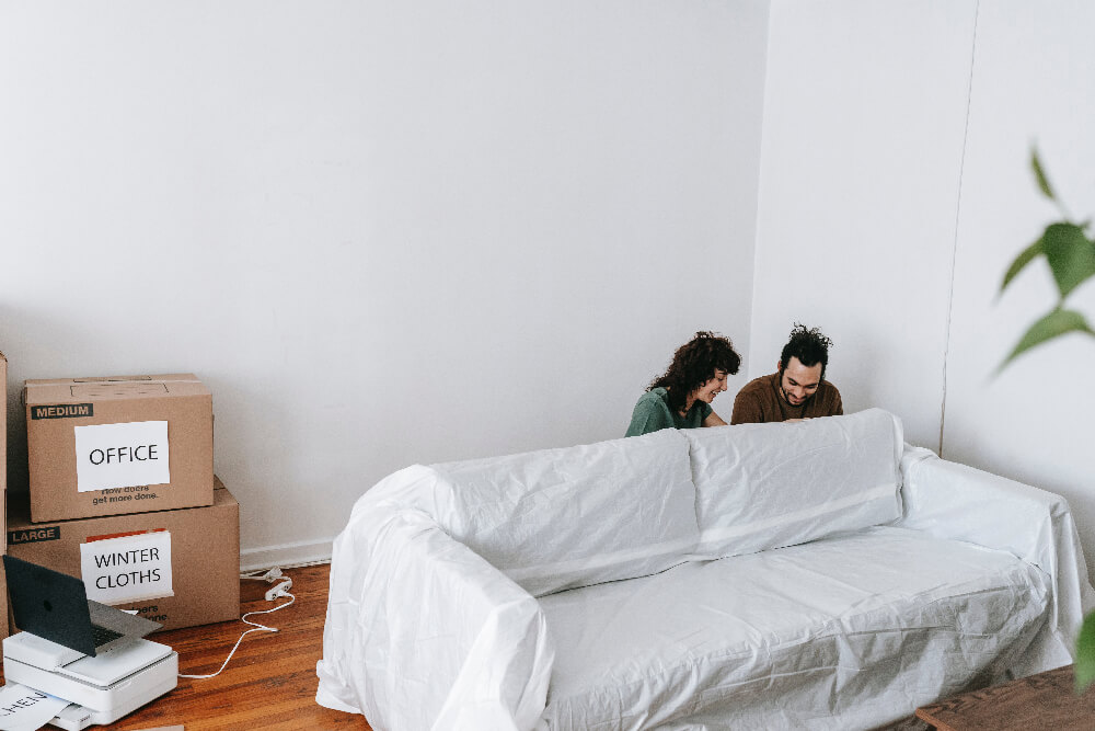 pexels blue bird 7218477 1 furniture